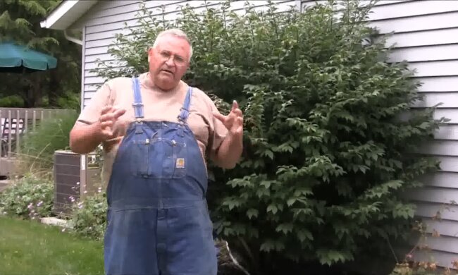 Ein Streitthema in der Gemeinde. Quelle: Youtube Screenshot