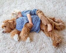 Hund ist der beste Freund eines Menschen: Junge und Welpe trennen sich nicht einmal beim Schlafen