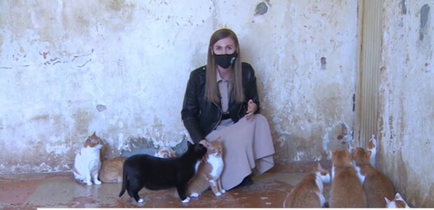 "Leben im Waschraum": Frau verwandelte ihre Garderobe in ein Katzenklo