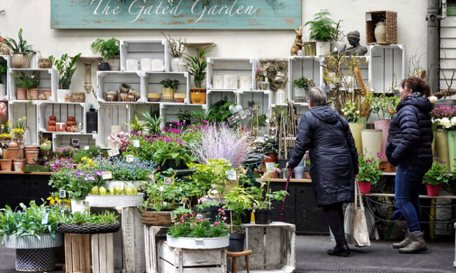 "Ihr Gesicht hat sich in einem Moment verändert": Eine Frau holt Pflanzen aus einem Geschäft, verschwindet dann aber in Sekundenschnelle aus dem Laden
