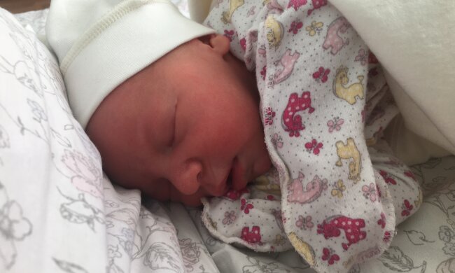 Große Freude für eine große Familie. Quelle: Screenshot YouTube