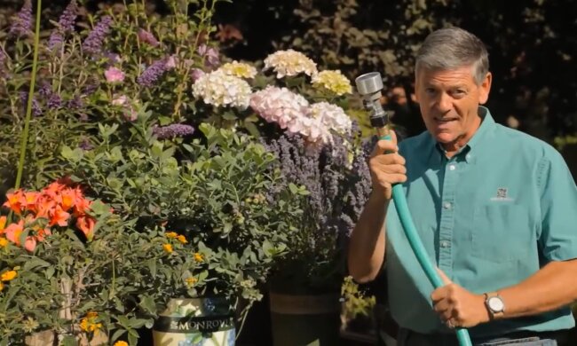 Hans Müller. Quelle: Youtube Screenshot