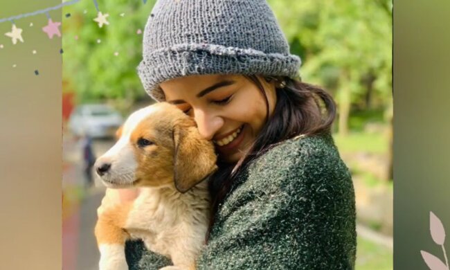 Das Herz einer Frau gehört ihren geliebten Hunden. Quelle: Screenshot YouTube