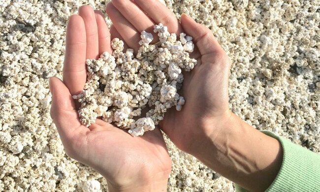Naturphänomen: Wie sieht ein Popcornstrand auf den Kanarischen Inseln aus