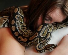 Eine Frau schlief jede Nacht mit ihrer Python. Der Arzt meint das ist nicht eine gute Idee