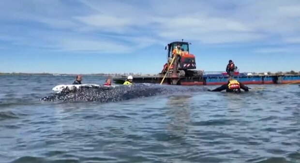 Rettungsdrama in der Ostsee. Quelle: Youtube Screenshot