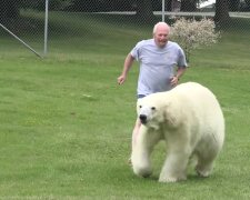 Eine ungewöhnliche Freundschaftsgeschichte : Ein Mann ist seit 23 Jahren mit einem Eisbären befreundet und schwimmt sogar mit ihm zusammen