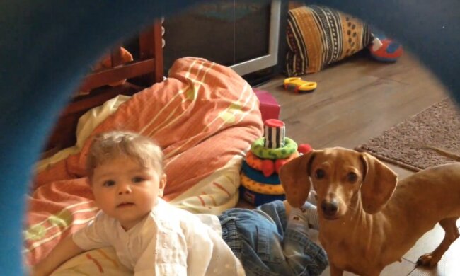 Kind mit dem Hund. Quelle: Youtube Screenshot