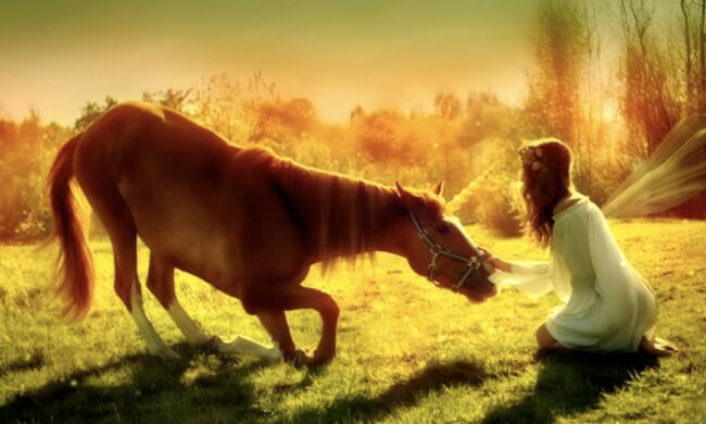 Pferd und Mädchen . Quelle: Screenshot YouTube