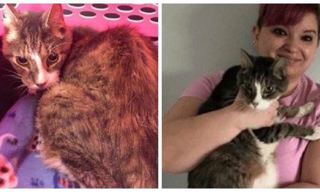 Thomas. Quelle: Screenshot