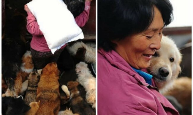 Yang Xiaoyun. Quelle: tengrinews.com