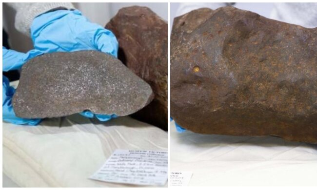 Wertvoller Fund. Quelle: Screenshot