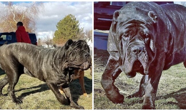 Euphrat. Quelle: Screenshot