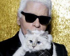 Ungewöhnliche Erbschaft: warum Karl Lagerfeld ein Multimillionen-Dollar-Erbe für die Katze hinterlassen hat