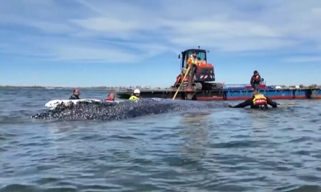 Rettungsdrama in der Ostsee. Quelle: Youtube Screenshot