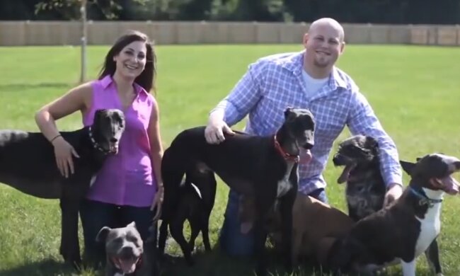 Süßes Tierheim. Quelle: YouTube Screenshot