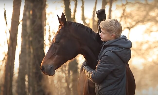Das Freundschaft zwischen das Pferd und der Junde. Quelle: Screenshot YouTube