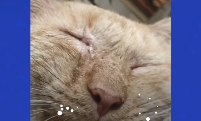 Illustratives Bild. Quelle: Youtube Screenshot