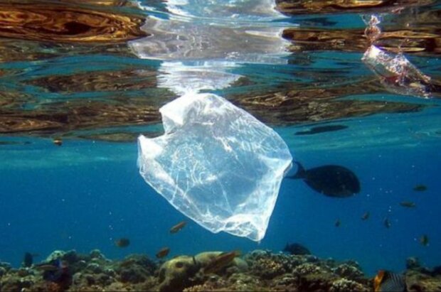 14 Millionen Tonnen Mikroplastik auf dem Meeresboden gefunden: eine Zahl, die weiter steigt