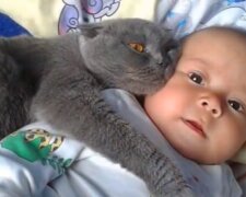 Die Katze und das Baby. Quelle: Screenshot YouTube