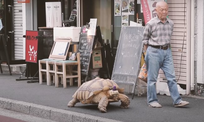 Bon-Chan. Quelle: Screenshot YouTube