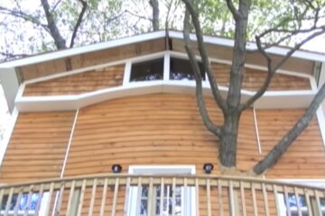 Baumhaus. Quelle: YouTube Screenshot