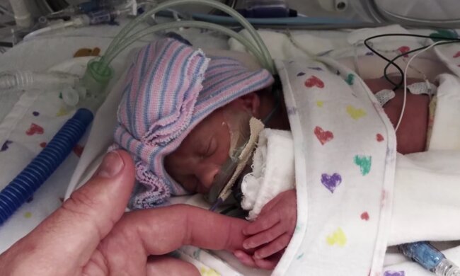 Eines der Babys von Busby. Quelle: Screenshot Youtube