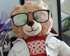 5.000 US-Dollar für einen Teddybär: in Vancouver sind viele Menschen auf der Suche nach einem Gedenkspielzeug