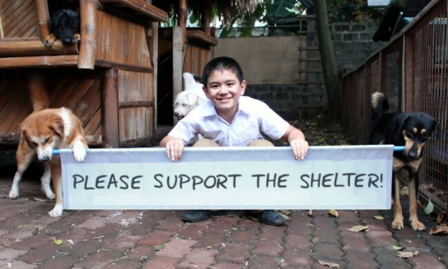 Der kleine Junge berührte seine Eltern mit seiner Liebe zu Tieren, und sie halfen ihm, ein Tierheim für streunende Hunde zu eröffnen