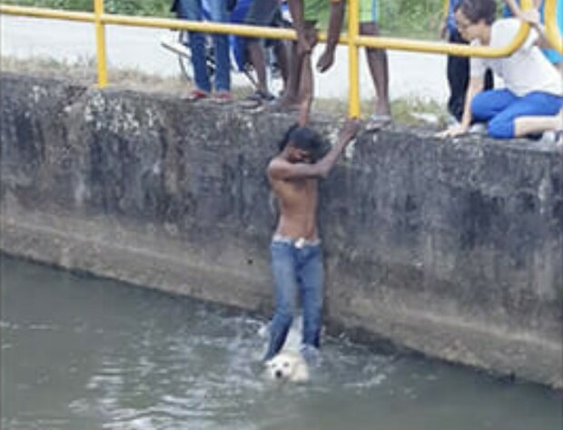 Der Junge hörte ein Heulen, das aus einem Flusskanal kam, und rannte zu Hilfe