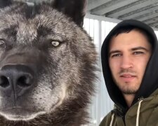 Großer Hund und ein Mann. Quelle: YouTube Screenshot