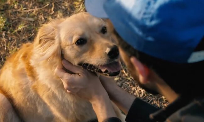 Junge mit dem Hund. Quelle: Screenshot Youtube