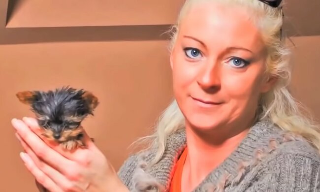 Entzückendes winziges Haustier. Quelle: Screenshot YouTube