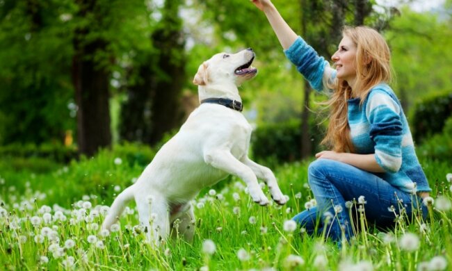 Foto: apostrophe.com