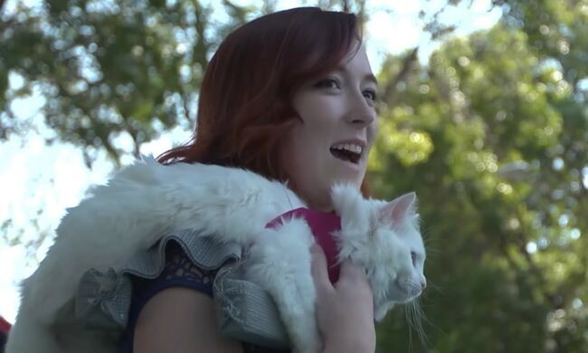 Unersetzliche Reisebegleiter. Quelle: Screenshot YouTube