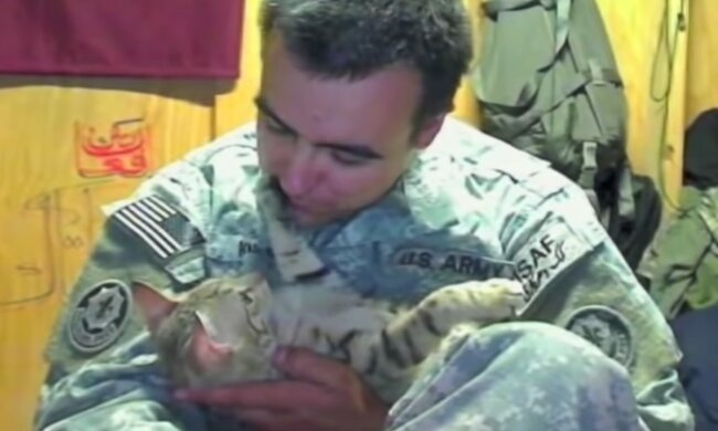 Die Katze, die das Leben verändert hat. Quelle: Screenshot YouTube