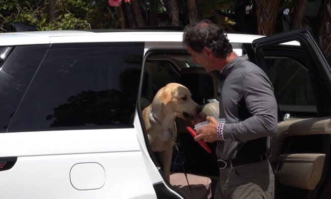 Hund im Auto. Quelle: Youtube Screenshot