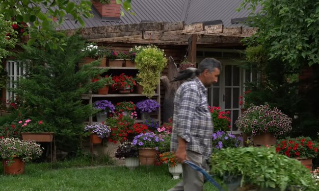 „Meine Nachbarin beneidet mich um meinen prächtigen Garten, aber was sie nicht sieht, ist die Mühe und Hingabe, die darin steckt“