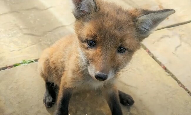 Ausgezeichnete Freunde!