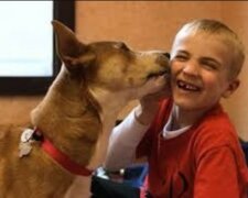 Der wahre Held: In jungen Jahren rettete er eintausenddreihundert Hunde