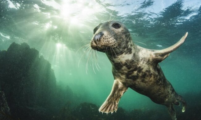 Foto: travelask