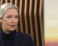 Weidel warnt vor Demokratie-Ausverkauf: Alte Bundestagsabstimmung über Finanzpaket sorgt für Aufregung