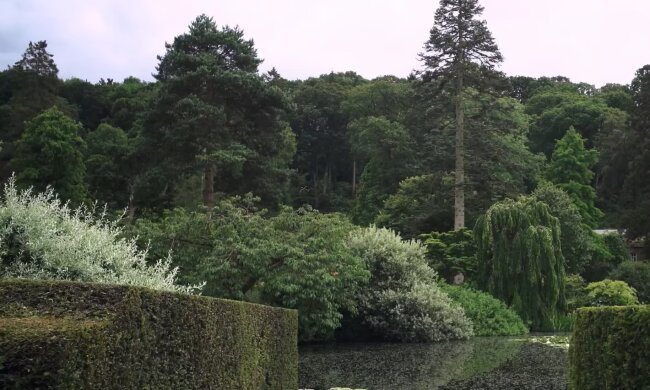 Garten-Restaurierung. Quelle: YouTube Screenshot