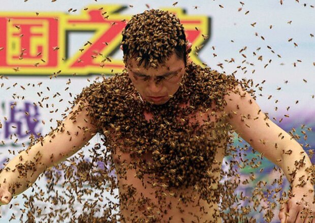 Warum ein Chinese und 63 Kilo Bienen ins Guinness-Buch der Rekorde gerieten