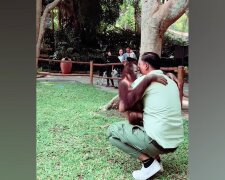 Die ungewöhnliche Freundschaft zwischen Mensch und Affe. Quelle: Youtube Screenshot