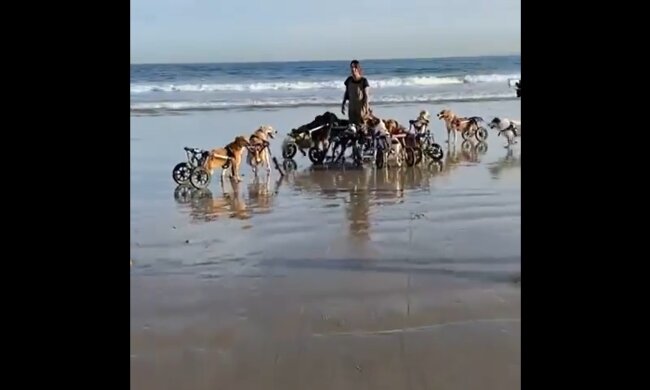 Sally. Quelle: Youtube Screenshot