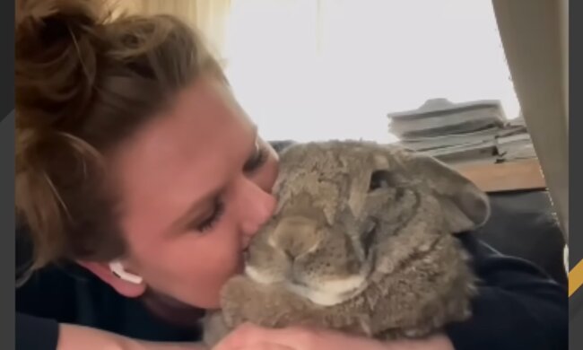 Riesiges Kaninchen. Quelle: Screenshot Youtube