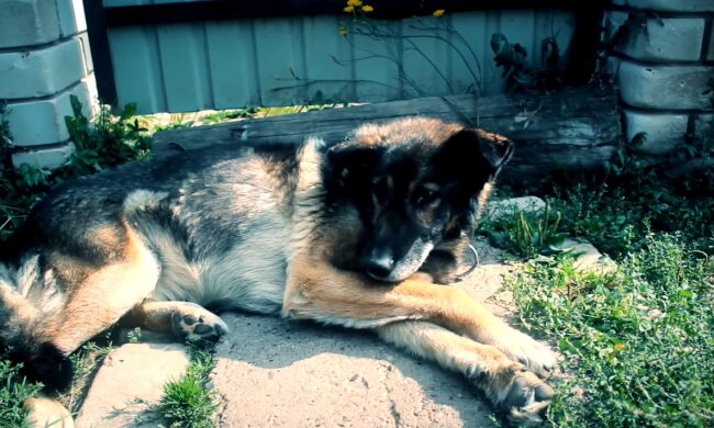 Illustratives Bild. Quelle: Youtube Screenshot