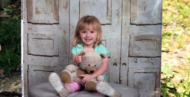 Ein zweijähriges Mädchen verschwand spurlos: Drei Tage später erschien ein Hund vor der Haustür seines Hauses