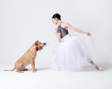 "Sie brauchen einen Besitzer": Ballerinas tanzen mit Tierheimtieren, um ein Zuhause für sie zu finden